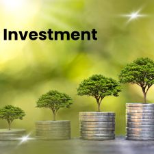 Investment