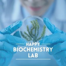 Biochemistry Lab